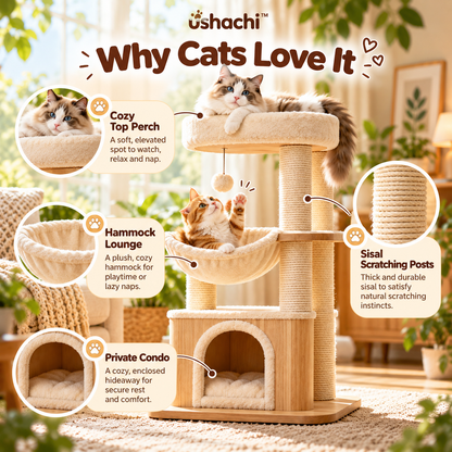 ushachi™ Moon Orbit Cat Ball Track Toy – Interactive Two-Level Rolling Ball Chase Toy for Indoor Cats