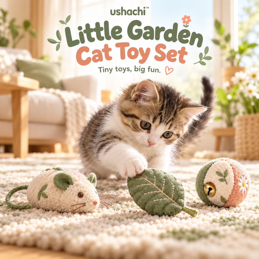 Cat Interactive Toys