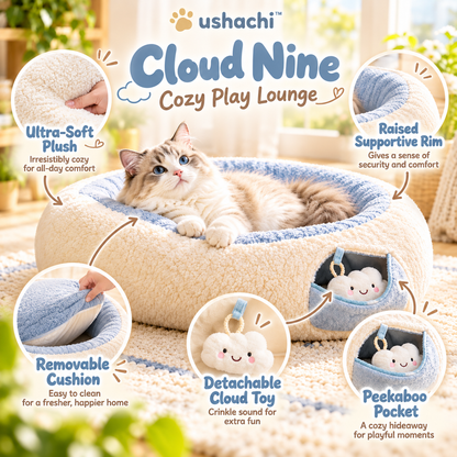 ushachi™ Cloud Nine Cat Play Lounge – Soft Donut-Shaped Plush Hideaway with Detachable Crinkle Toy & Interactive Peekaboo Pocket