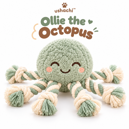 ushachi™ Ollie the Octopus Rope Tug Dog Toy – Squeaky Plush Octopus with Braided Cotton Tentacles
