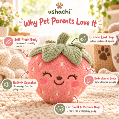 ushachi™ Poppy the Strawberry Squeaky Dog Toy – Cute Strawberry Plush with Textured Leaf Top & Crinkle Details