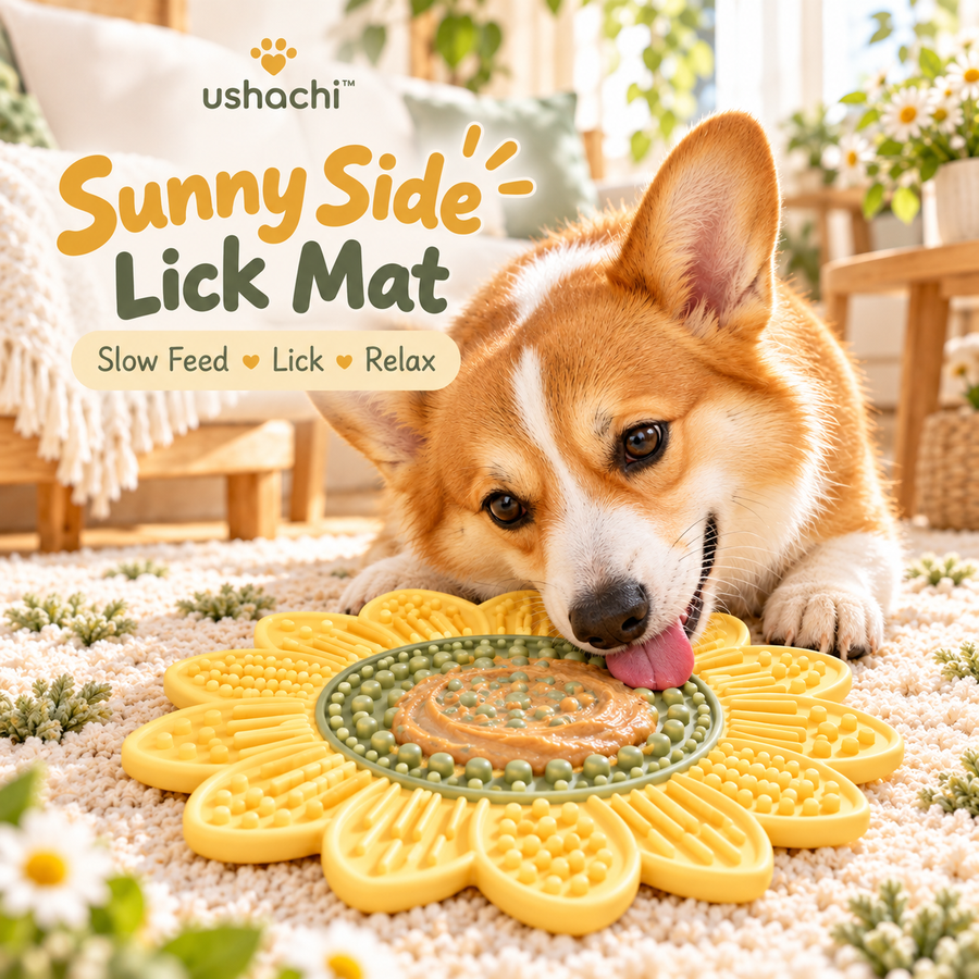 Dog Enrichment & Puzzle Toys