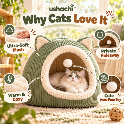 ushachi™ Flutter & Chase Butterfly Cat Teaser Wand – Interactive Feather Wand Toy with Interchangeable Attachments